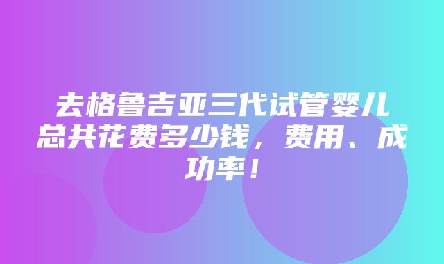 去格鲁吉亚三代试管婴儿总共花费多少钱，费用、成功率！