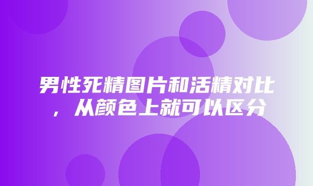 男性死精图片和活精对比，从颜色上就可以区分