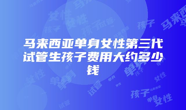 马来西亚单身女性第三代试管生孩子费用大约多少钱