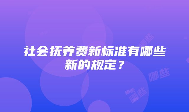 社会抚养费新标准有哪些新的规定？