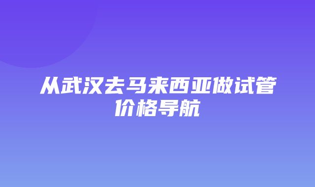 从武汉去马来西亚做试管价格导航