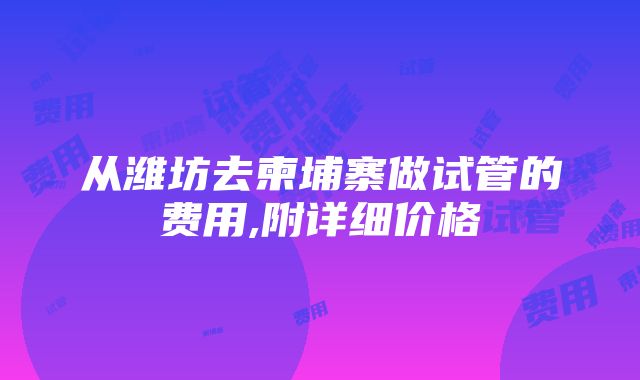 从潍坊去柬埔寨做试管的费用,附详细价格