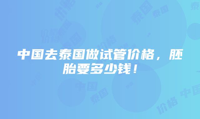 中国去泰国做试管价格，胚胎要多少钱！