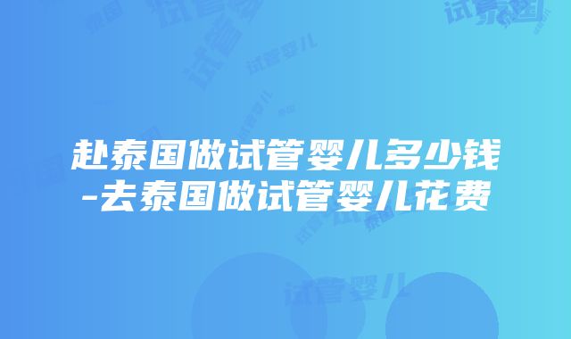 赴泰国做试管婴儿多少钱-去泰国做试管婴儿花费