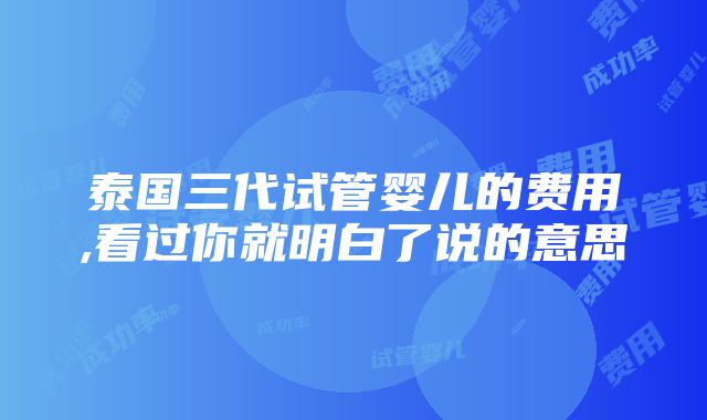 泰国三代试管婴儿的费用,看过你就明白了说的意思