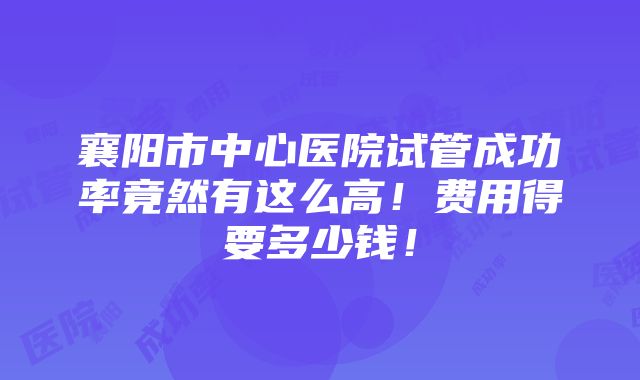 襄阳市中心医院试管成功率竟然有这么高！费用得要多少钱！