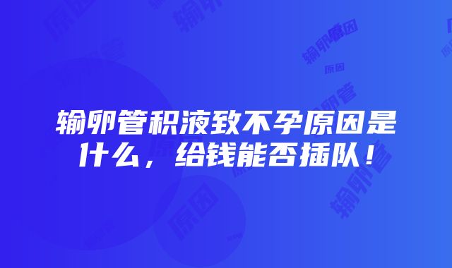 输卵管积液致不孕原因是什么，给钱能否插队！