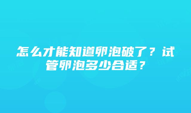 怎么才能知道卵泡破了？试管卵泡多少合适？