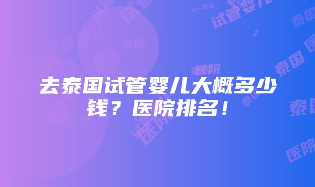 去泰国试管婴儿大概多少钱？医院排名！