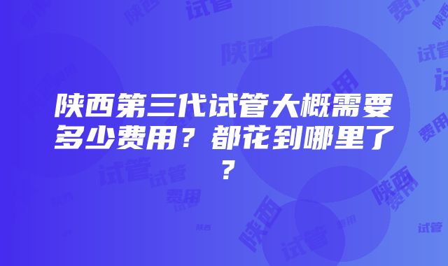 陕西第三代试管大概需要多少费用？都花到哪里了？