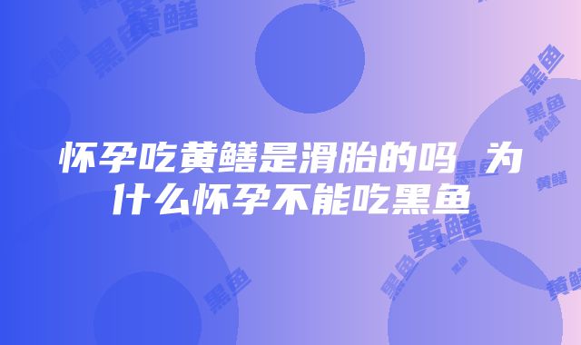 怀孕吃黄鳝是滑胎的吗 为什么怀孕不能吃黑鱼