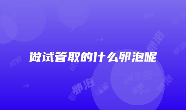 做试管取的什么卵泡呢