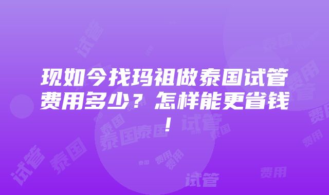 现如今找玛祖做泰国试管费用多少？怎样能更省钱！