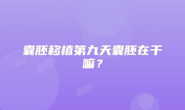 囊胚移植第九天囊胚在干嘛？