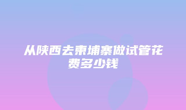 从陕西去柬埔寨做试管花费多少钱