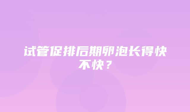 试管促排后期卵泡长得快不快？