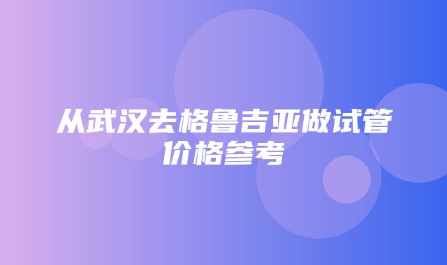 从武汉去格鲁吉亚做试管价格参考