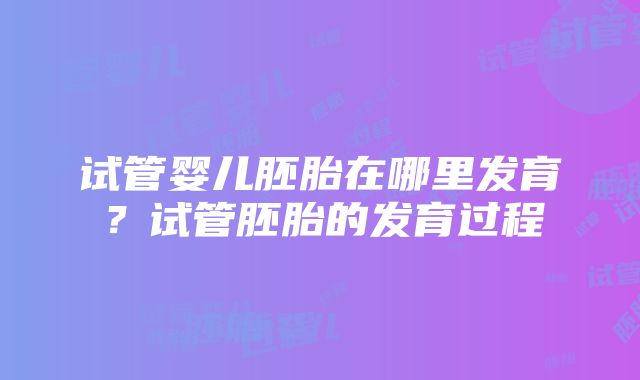 试管婴儿胚胎在哪里发育？试管胚胎的发育过程