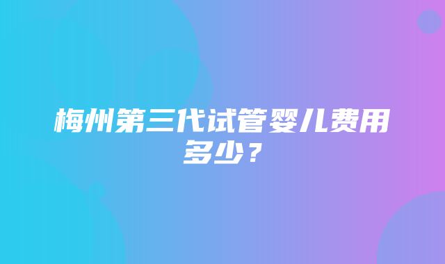 梅州第三代试管婴儿费用多少？