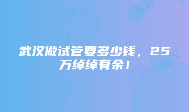 武汉做试管要多少钱，25万绰绰有余！