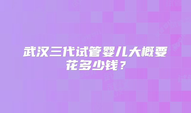 武汉三代试管婴儿大概要花多少钱？