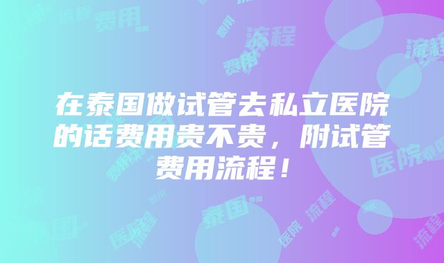 在泰国做试管去私立医院的话费用贵不贵，附试管费用流程！