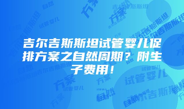 吉尔吉斯斯坦试管婴儿促排方案之自然周期？附生子费用！