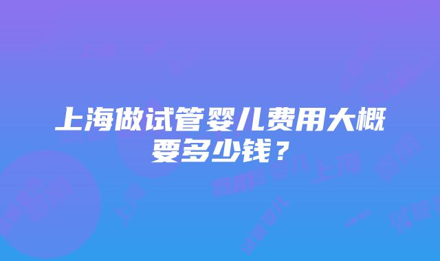 上海做试管婴儿费用大概要多少钱？