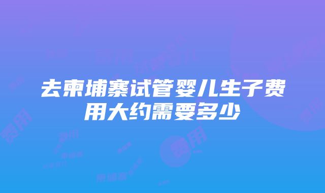 去柬埔寨试管婴儿生子费用大约需要多少