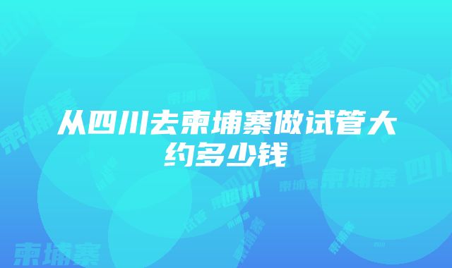 从四川去柬埔寨做试管大约多少钱