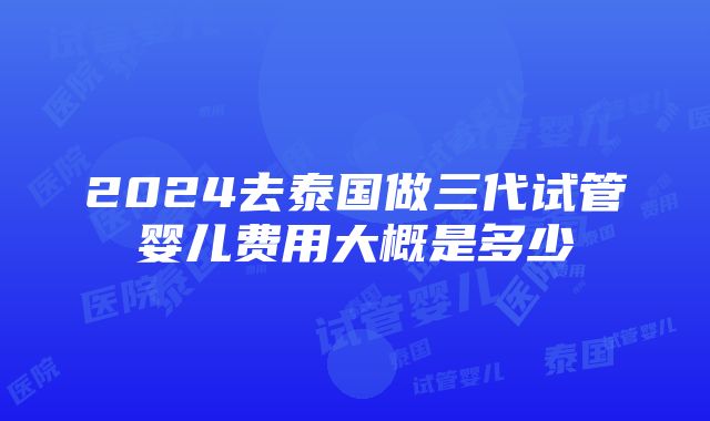 2024去泰国做三代试管婴儿费用大概是多少