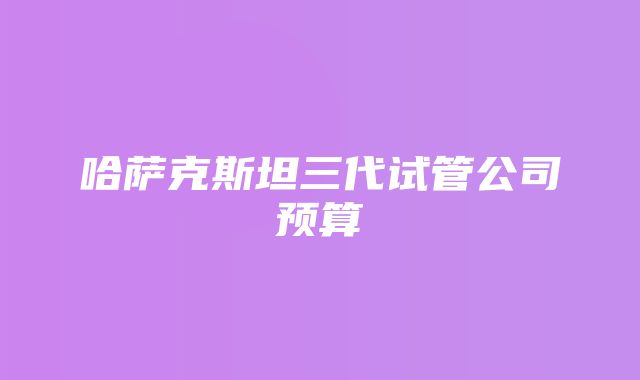 哈萨克斯坦三代试管公司预算