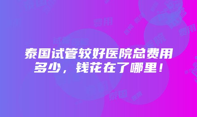 泰国试管较好医院总费用多少，钱花在了哪里！