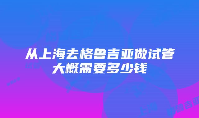 从上海去格鲁吉亚做试管大概需要多少钱