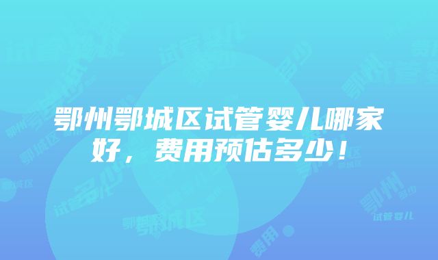 鄂州鄂城区试管婴儿哪家好，费用预估多少！