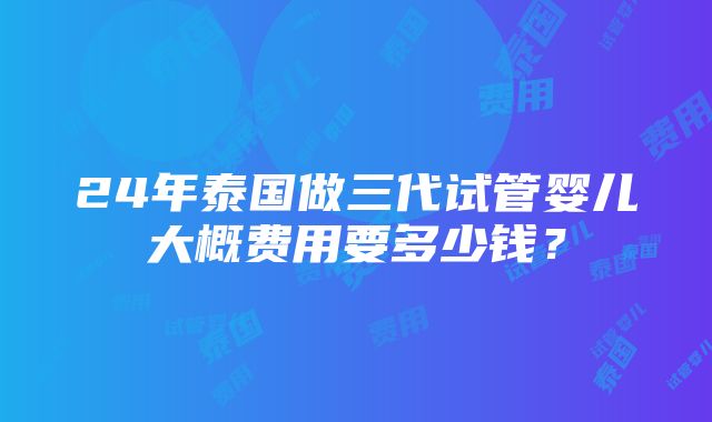 24年泰国做三代试管婴儿大概费用要多少钱？