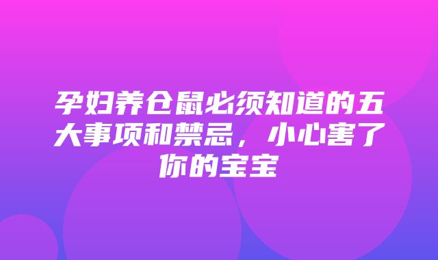 孕妇养仓鼠必须知道的五大事项和禁忌，小心害了你的宝宝