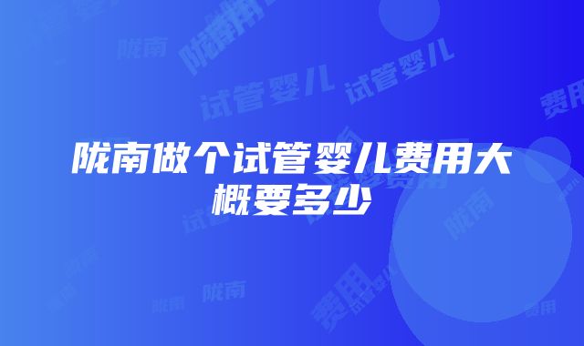 陇南做个试管婴儿费用大概要多少