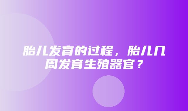 胎儿发育的过程，胎儿几周发育生殖器官？