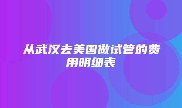 从武汉去美国做试管的费用明细表