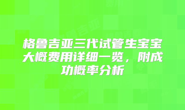 格鲁吉亚三代试管生宝宝大概费用详细一览，附成功概率分析