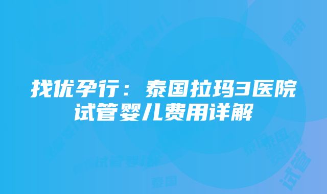 找优孕行：泰国拉玛3医院试管婴儿费用详解