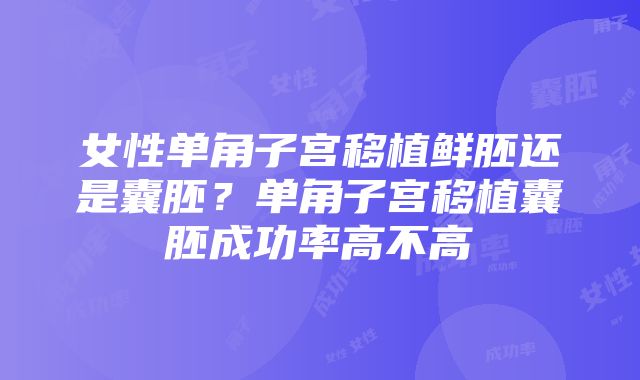 女性单角子宫移植鲜胚还是囊胚？单角子宫移植囊胚成功率高不高