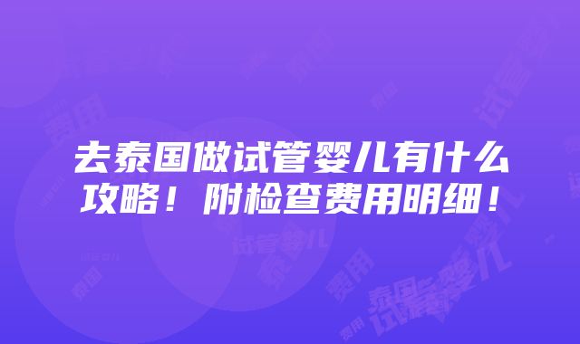 去泰国做试管婴儿有什么攻略！附检查费用明细！