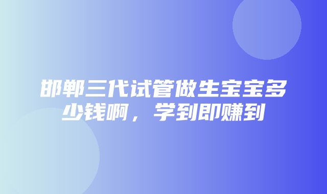 邯郸三代试管做生宝宝多少钱啊，学到即赚到