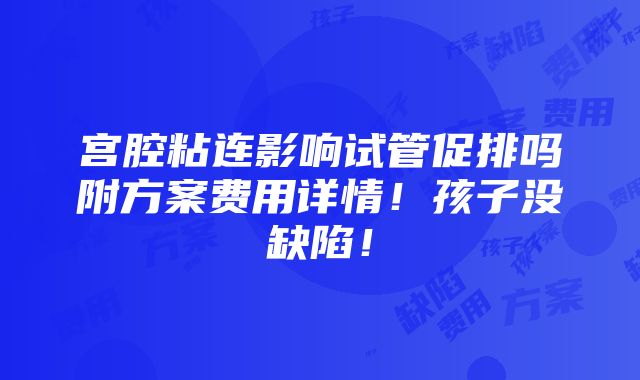 宫腔粘连影响试管促排吗附方案费用详情！孩子没缺陷！