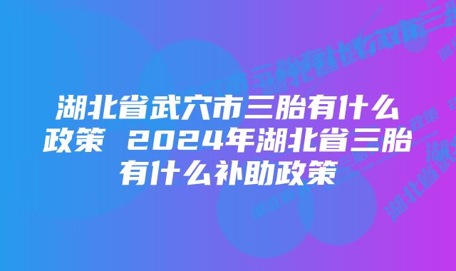 湖北省武穴市三胎有什么政策 2024年湖北省三胎有什么补助政策