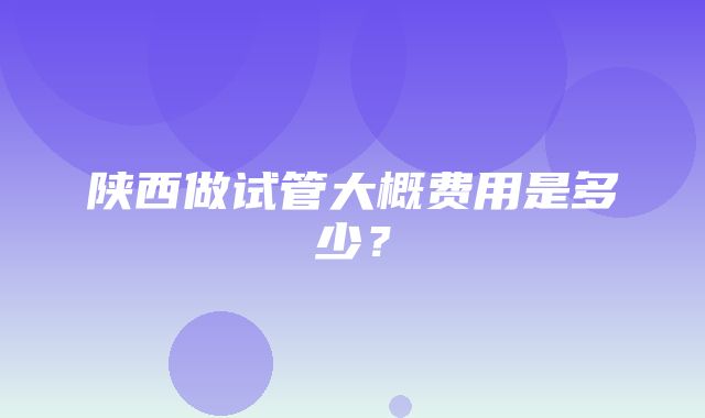 陕西做试管大概费用是多少？