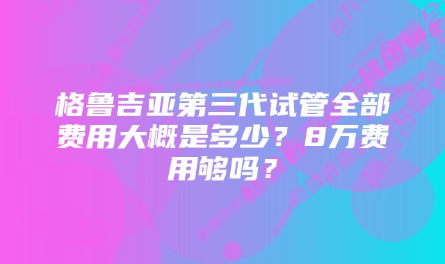 格鲁吉亚第三代试管全部费用大概是多少？8万费用够吗？