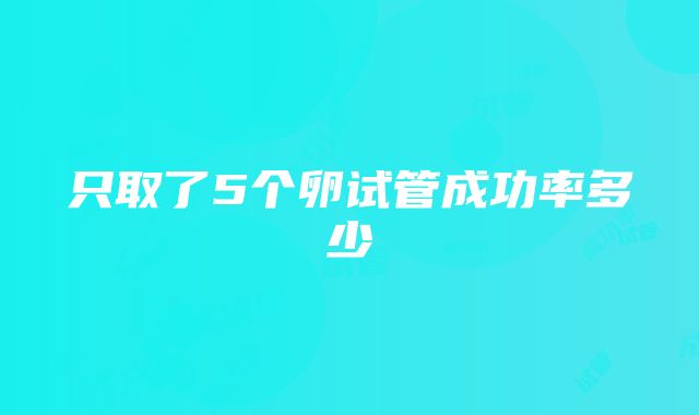 只取了5个卵试管成功率多少